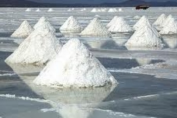 Фотография к новости: Производство соли в Казахстане увеличилось на 12% 