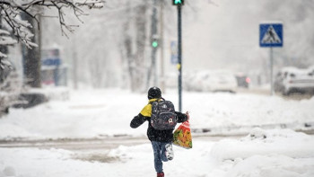 Фотография к новости: В Астане появятся интеллектуальные пешеходные переходы 