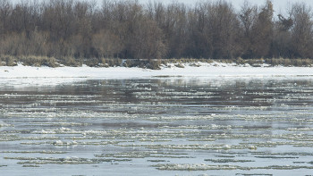 Фотография к новости: Кызылординцев предупредили о возможном шторме на Сырдарие