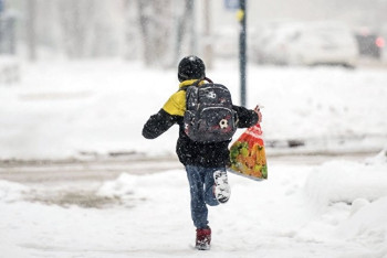 Фотография к новости: В Костанае отменены занятия в школах из-за сильного гололёда