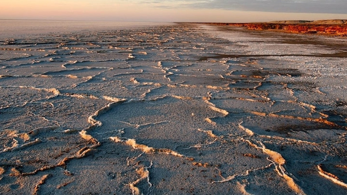  Главное фото: из открытых источников