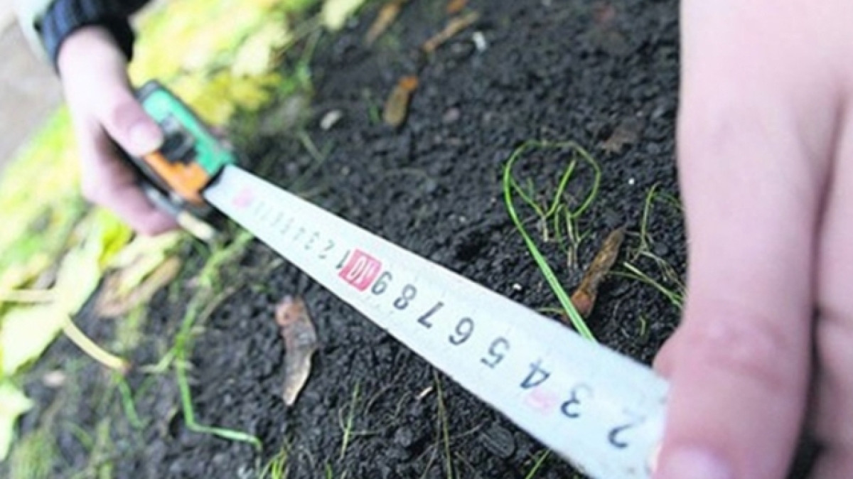  Из открытого источника 