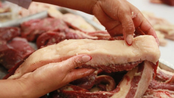 Фотография к новости: Индекс конины будут высчитывать в Казахстане