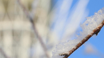 Фотография к новости: В СКО из-за мороза закрыты дороги по всем направлениям 