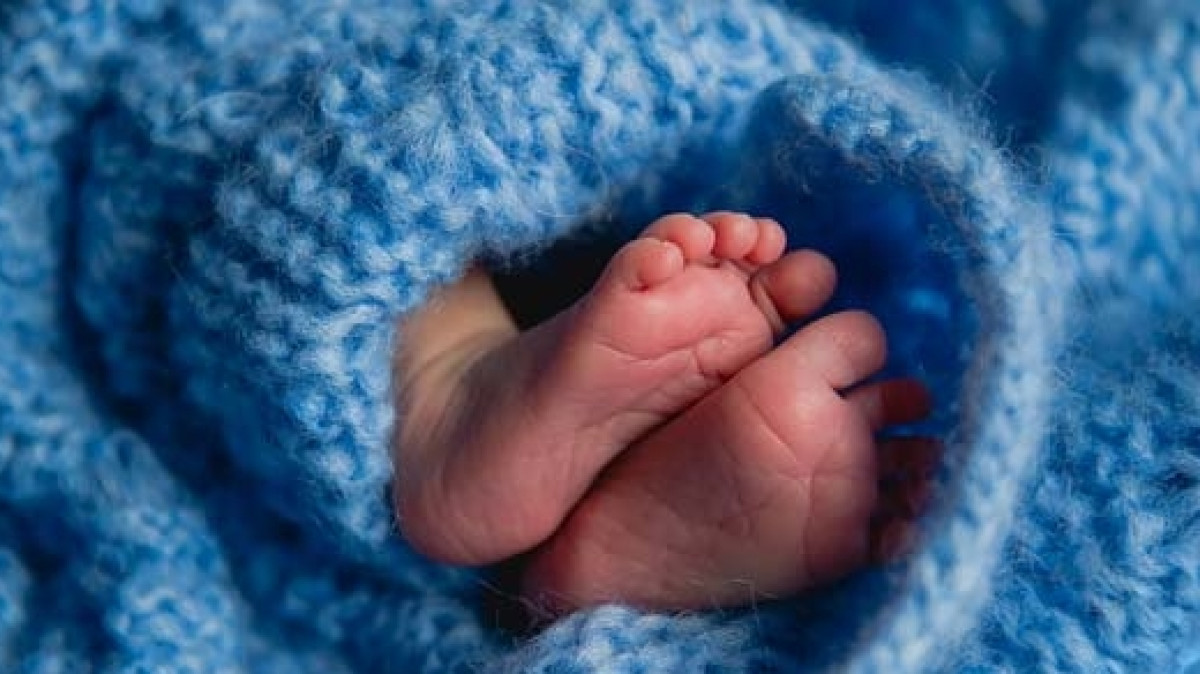  Из открытых источников 