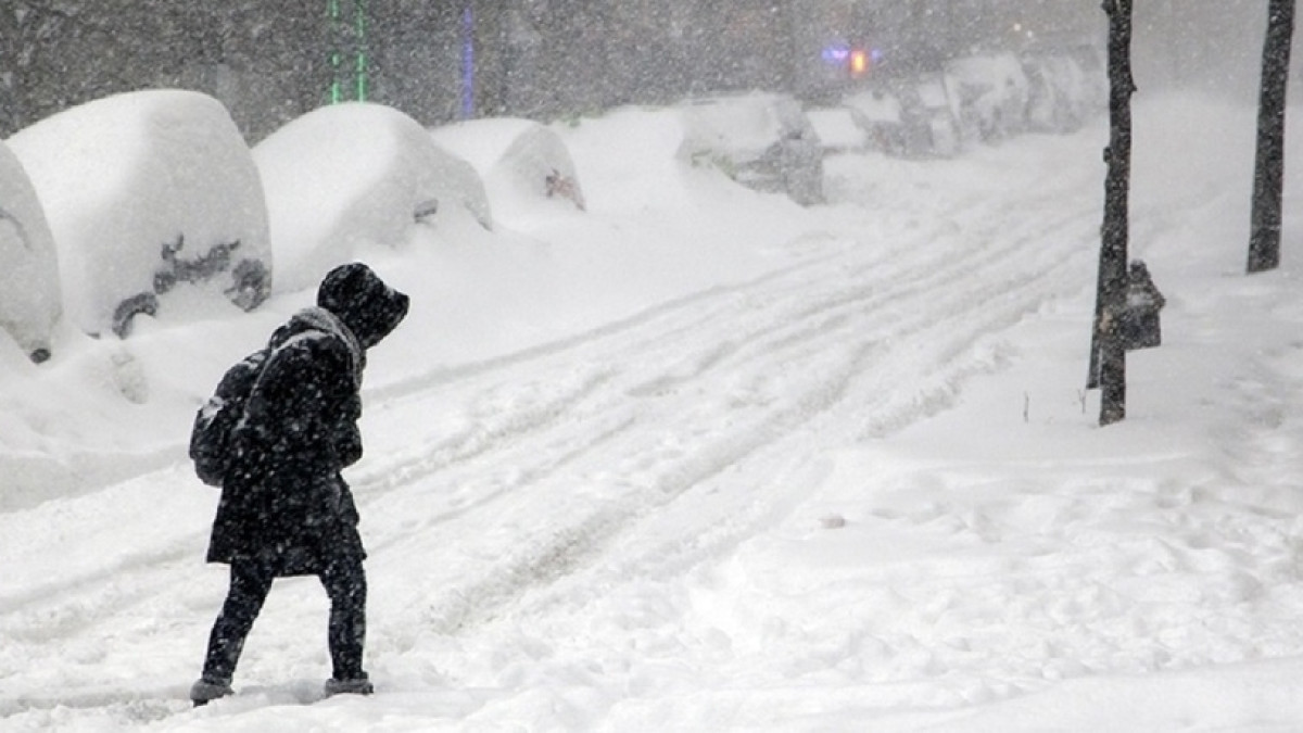  Из открытого источника 