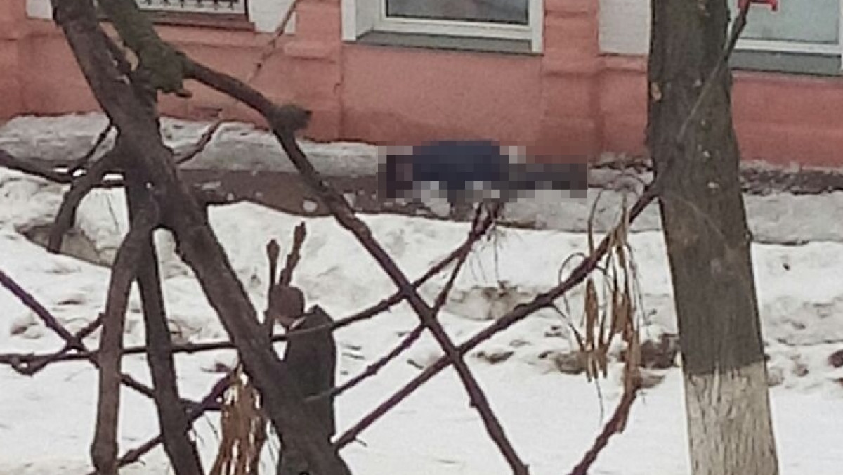  "Уральская неделя"