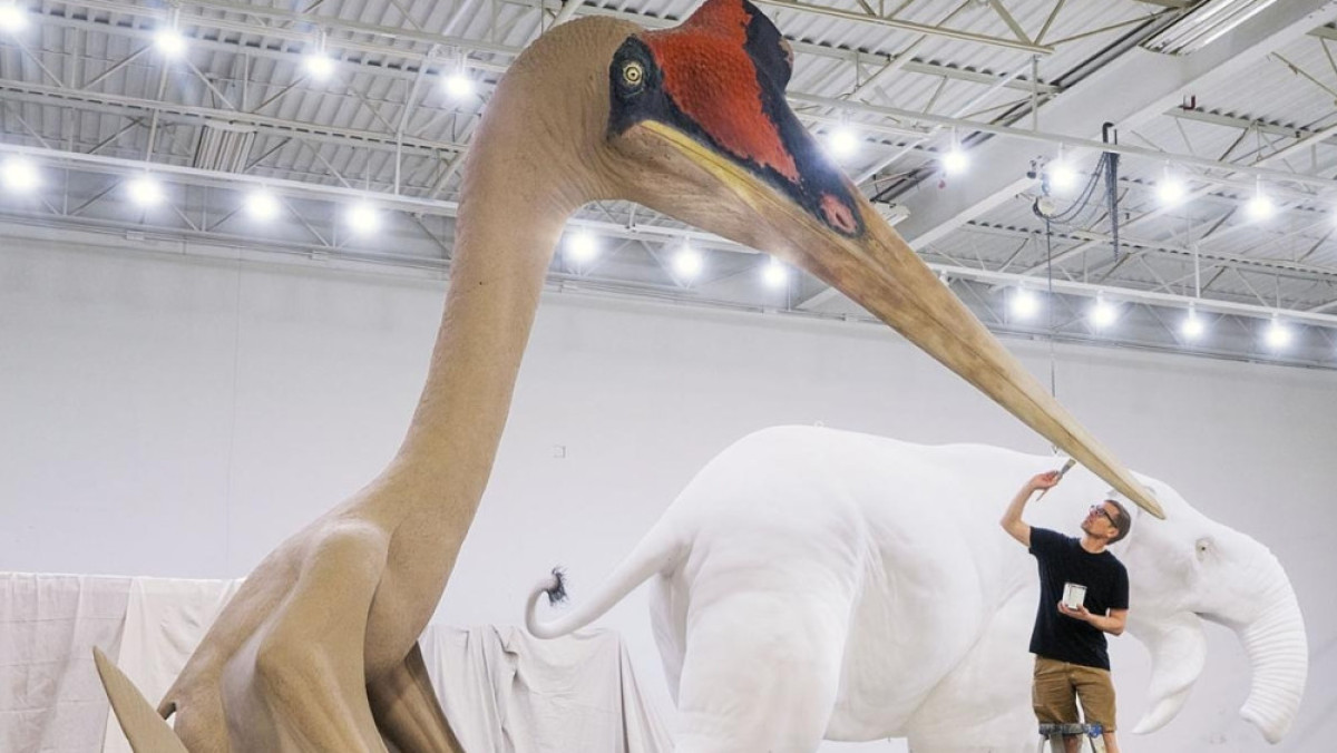  nationalgeographic.com