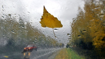 Фотография к новости: Штормовое предупреждение объявлено в трёх областях Казахстана