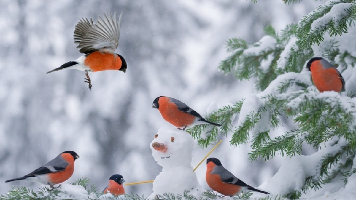  Из открытого источника 