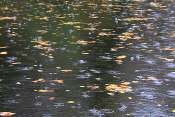 Фотография к новости: Осадки пройдут на западе и юге Казахстана в пятницу