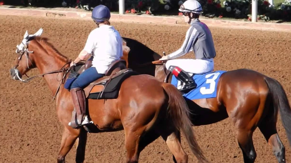  Из открытого источника 