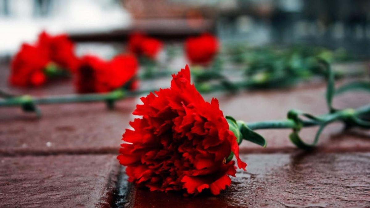  Иллюстративное 