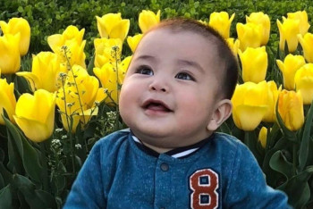 Фотография к новости: Конкурс селфи на фоне тюльпанов объявил акимат Шымкента