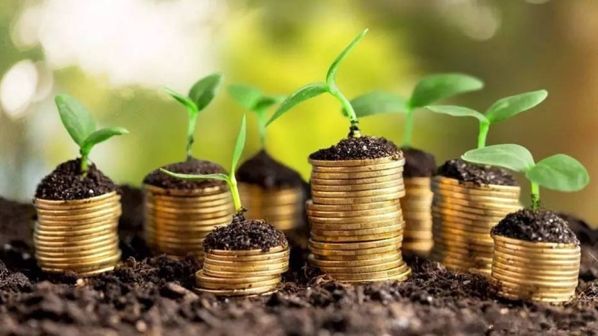  Иллюстративное 