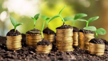 Фотография к новости: Прибыль инвестфондов за год упала более чем в пять раз – исследование