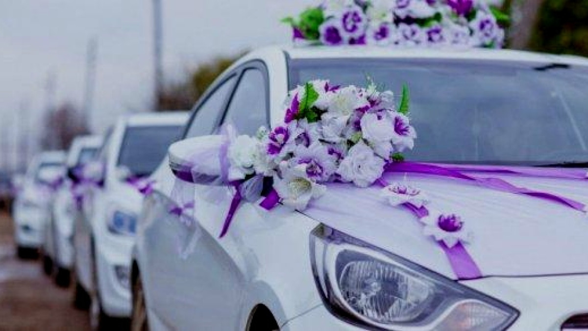  Иллюстративное фото