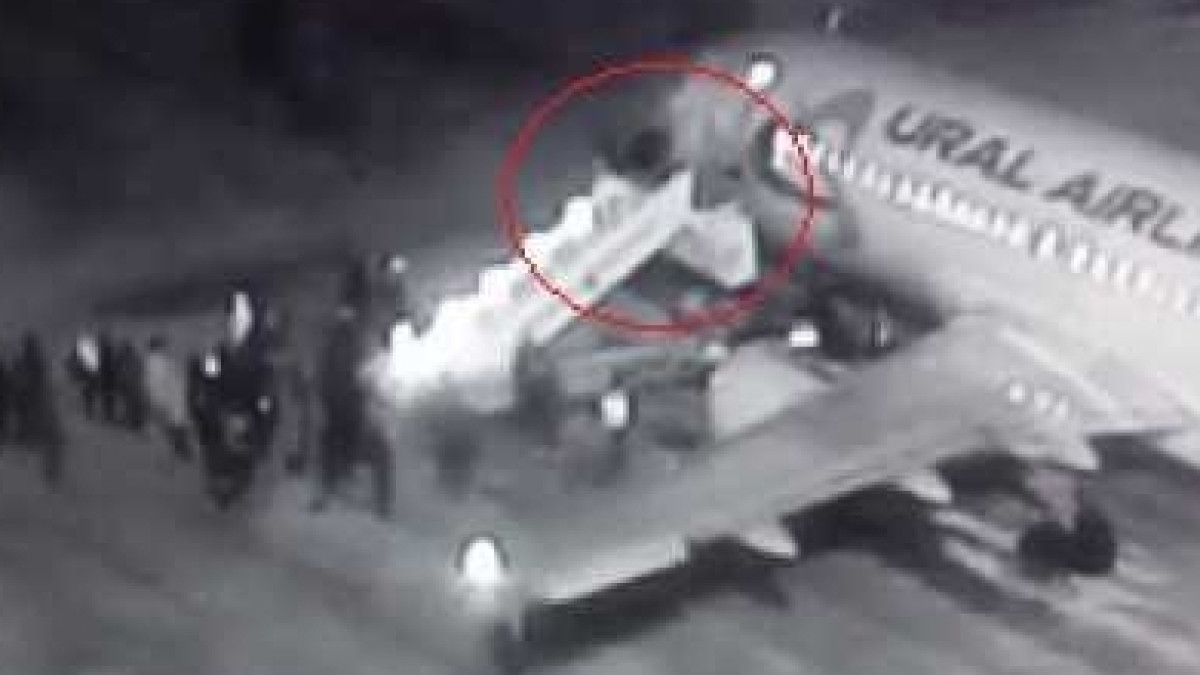  Фото с сайта province.ru