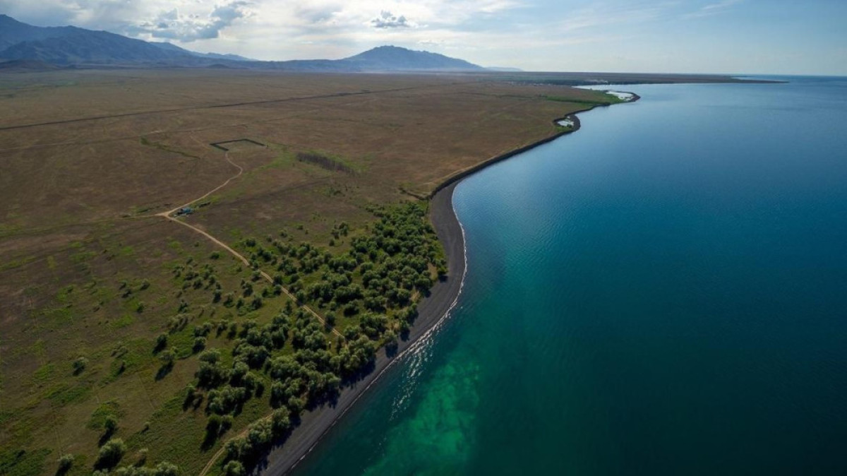  Из открытых источников 