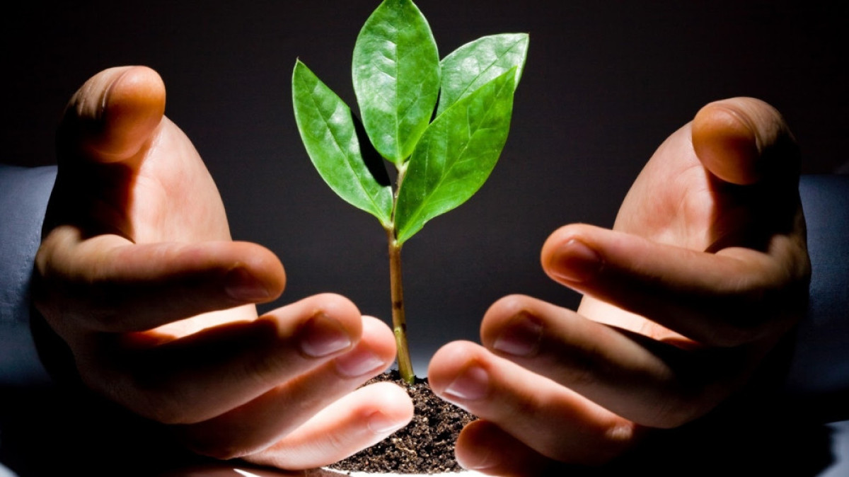  Из открытого источника 