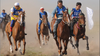 Фотография к новости: Нурбол Назарбаев стал президентом федерации "Бәйге" 