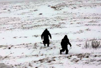 Фотография к новости: К поискам пропавшего врача из Костаная подключились спасатели