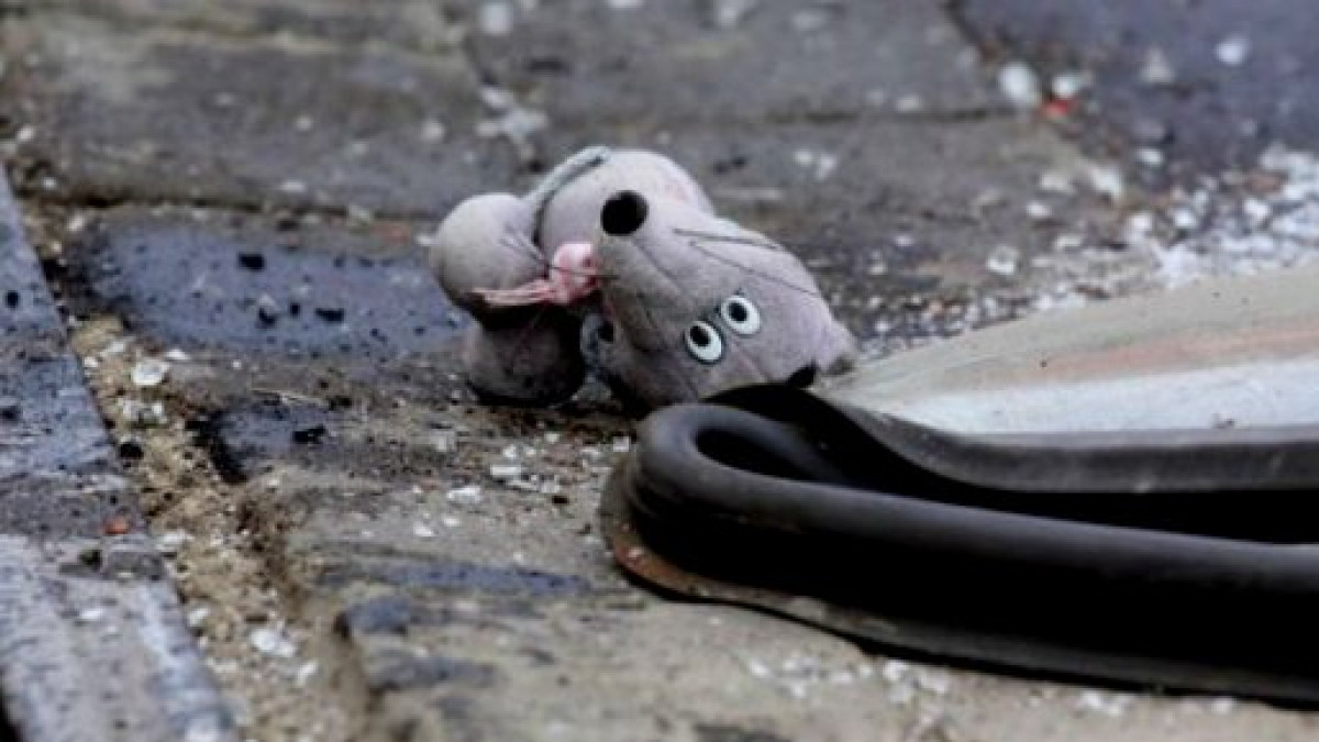  Иллюстративное 