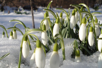 Фотография к новости: Синоптики рассказали о погоде в Казахстане 12 марта
