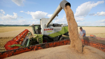 Фотография к новости: Регионы Казахстана намолотили 6,5 млн тонн зерна