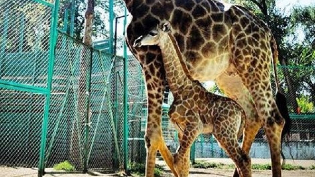  instagram.com/Ержан Еркинбаев