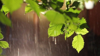 Фотография к новости: Дожди ожидаются на большей части территории Казахстана второго сентября