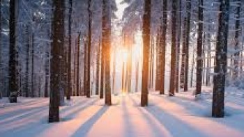 Фотография к новости: Последний месяц осени начнется в Казахстане с осадков и похолодания 