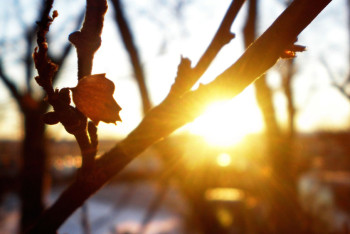 Фотография к новости: Потепление до +30 ожидается на выходных на севере Казахстана