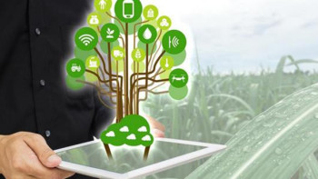 Фотография к новости: Зеленый климатический фонд ООН положительно оценил экопроекты Казахстана