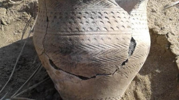 Фотография к новости: Глиняный горшок эпохи бронзы нашёл сельский стоматолог в Павлодарской области