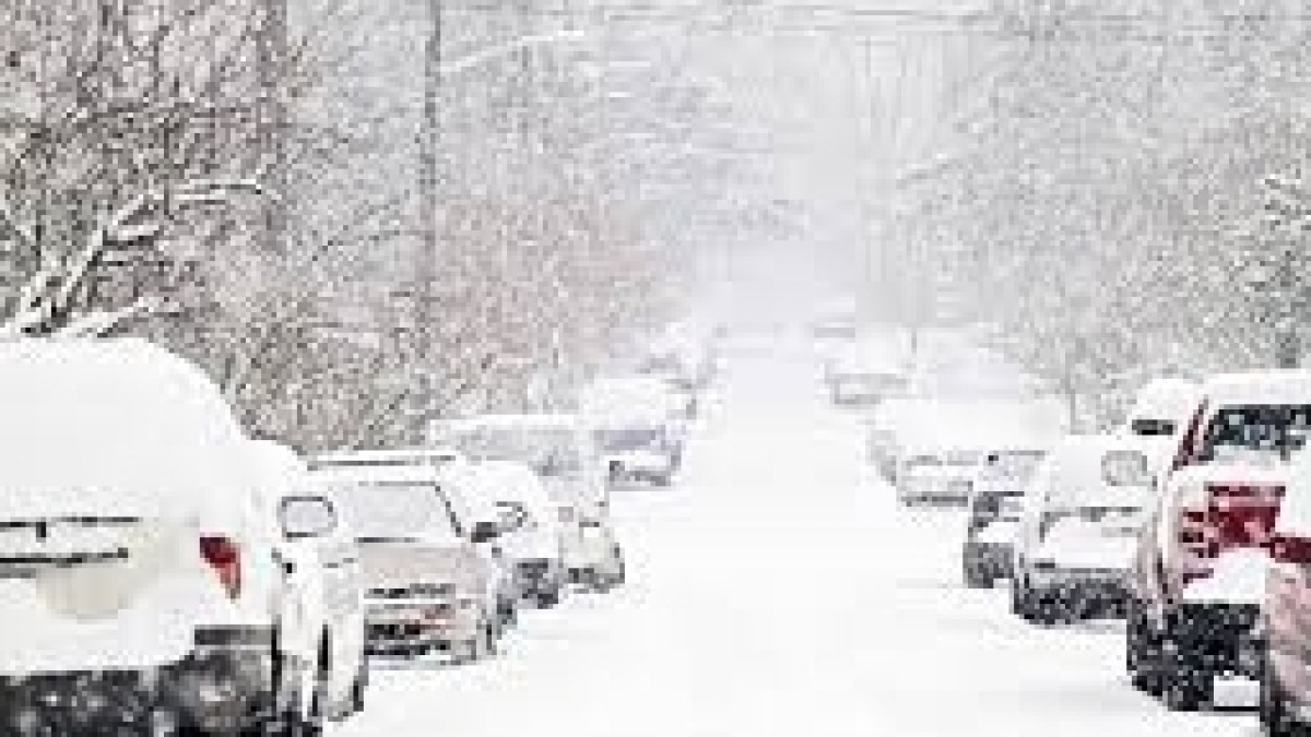  Из открытых источников