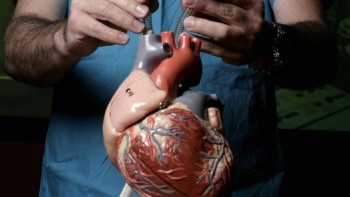 Фотография к новости: Как живут пациенты с искусственным сердцем, рассказали в центре кардиохирургии Астаны