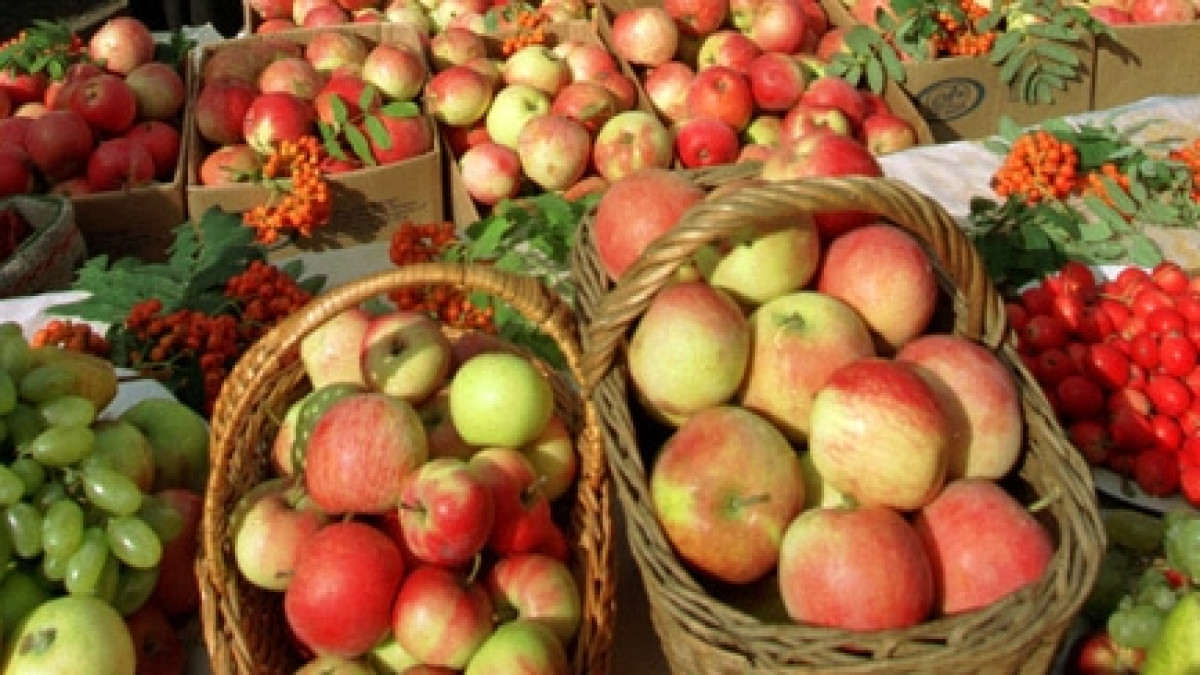  Из открытых источников