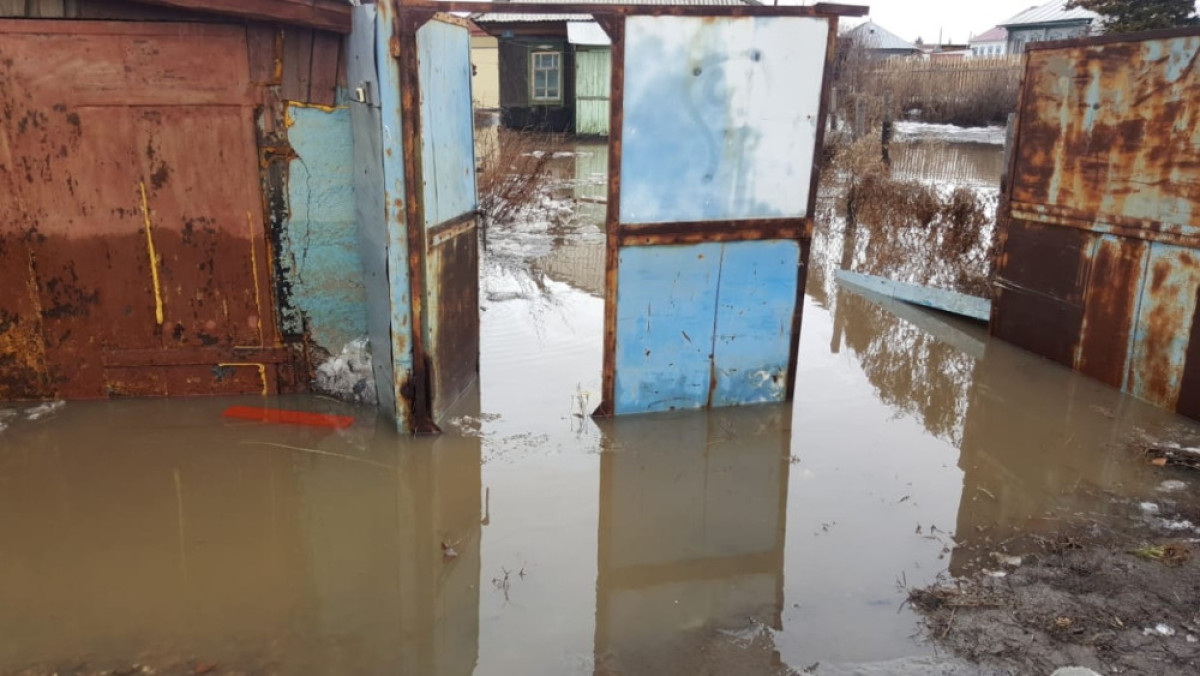  инфоцентр ВКО