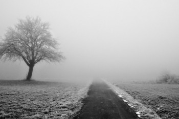 Фотография к новости: Синоптики рассказали о погоде в Казахстане 27 марта