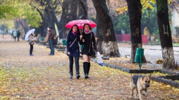 Фотография к новости: Похолодание и дожди ожидаются в Казахстане