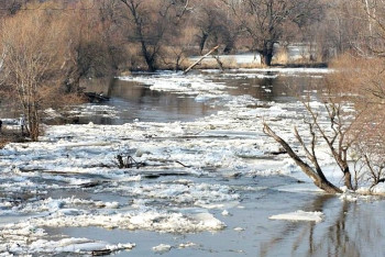 Фотография к новости: Река затопила мост в селе Новоникольское на севере Казахстана