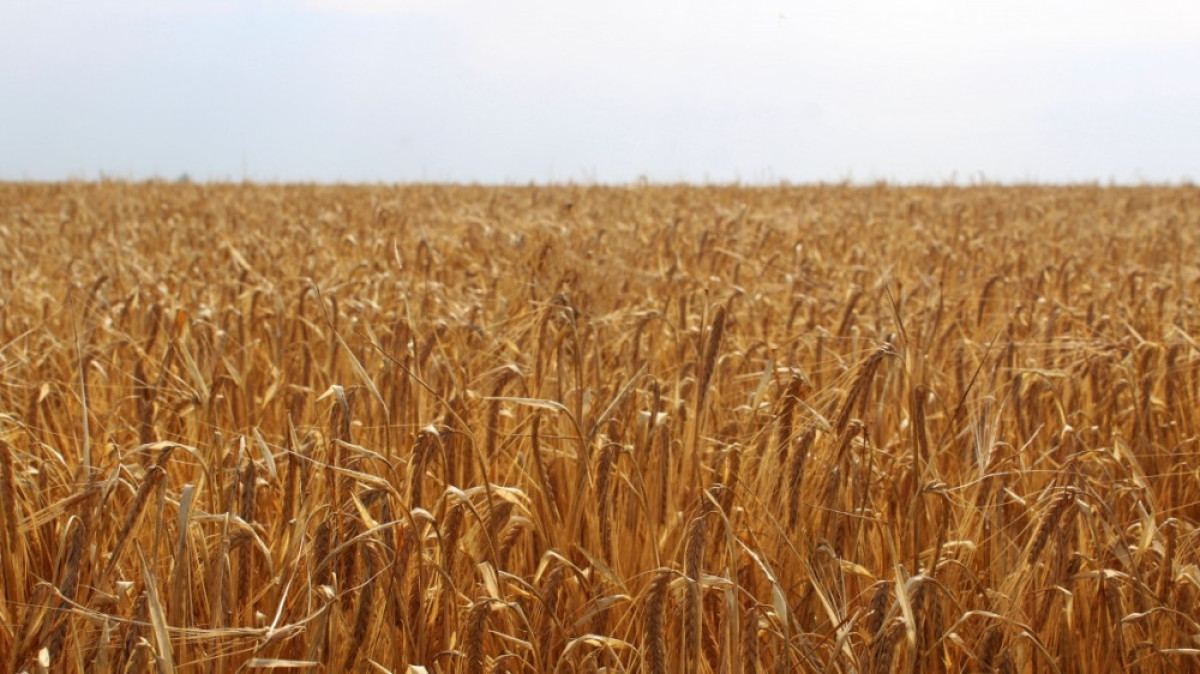  Из открытых источников 