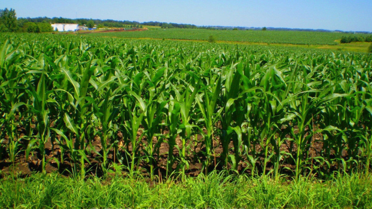  Из открытых источников