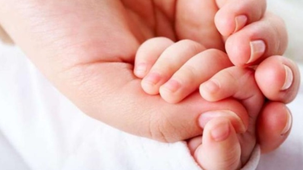  Из открытого источника 