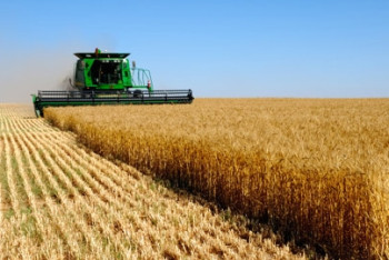 Фотография к новости: Неэффективные субсидии в АПК будут снижены - МСХ   