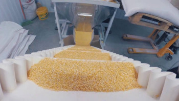 Фотография к новости: Завод по производству круп начнет работу в феврале в Акмолинской области