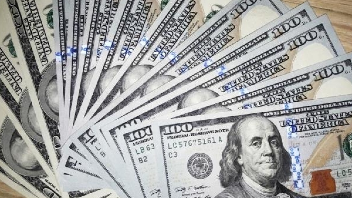  Фото: РИА VladNews