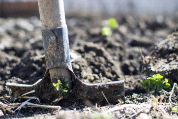 Фотография к новости: Убийство пастуха в Алматинской области раскрыли спустя 5 лет