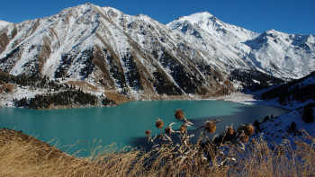 Фотография к новости: "Казахфильм" представит пять документальных фильмов о природе Казахстана